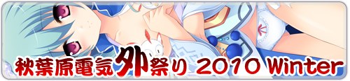 秋葉原電気外祭り 2010 Winter